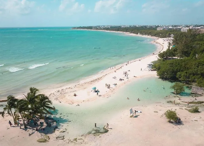 Quiet Studio In Nature Near The Beach And Fun! Playa del Carmen